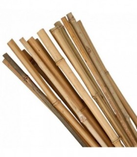 Suport/arac Pentru Plante – Rosii – Bambus – Set 10 Buc – 1.6x180 Cm – Strend Pro